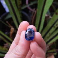 natural royal blue sapphire, unheated royal blue sapphire, royal blue sapphire gemstone, unheated blue sapphire price per carat, blue sapphire stone singapore, Gem Gardener