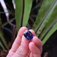 natural royal blue sapphire, unheated royal blue sapphire, royal blue sapphire gemstone, unheated blue sapphire price per carat, blue sapphire stone singapore, Gem Gardener