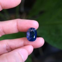 natural royal blue sapphire, unheated royal blue sapphire, royal blue sapphire gemstone, unheated blue sapphire price per carat, blue sapphire stone singapore, Gem Gardener