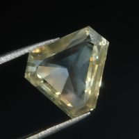 big diamond triangle, light yellow diamond, pale yellow diamond ring, light yellow diamond price, loose triangle diamond, large triangle diamond ring, yellow triangle diamond, big diamond stone ring, loose diamond singapore, Gem Gardener