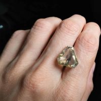big diamond triangle, light yellow diamond, pale yellow diamond ring, light yellow diamond price, loose triangle diamond, large triangle diamond ring, yellow triangle diamond, big diamond stone ring, loose diamond singapore, Gem Gardener
