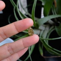 Fancy Dark Green Diamond, fancy yellow green diamond, fancy dark brown greenish yellow diamond, fancy deep green diamond, green diamond loose stones, dark green diamond ring, loose green diamonds for sale, loose diamonds singapore, Gem Gardener